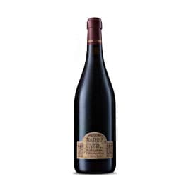 Marina Cvetic Montepulciano d’Abruzzo